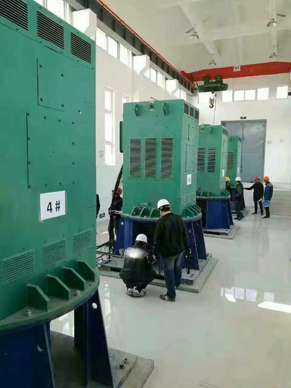 YKS4505-6/450KW某污水处理厂使用我厂的立式高压电机安装现场