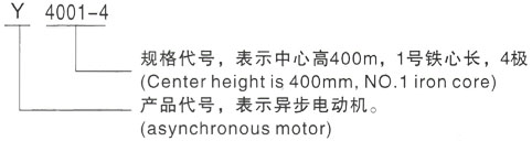 西安泰富西玛Y系列(H355-1000)高压YKS4505-6/450KW三相异步电机型号说明