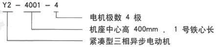 YR系列(H355-1000)高压YKS4505-6/450KW三相异步电机西安西玛电机型号说明